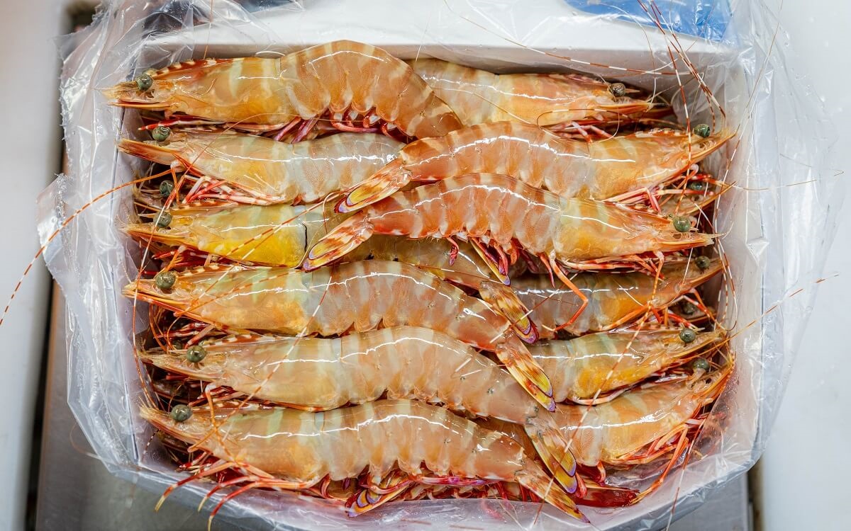 Skull Island Prawns inside a box