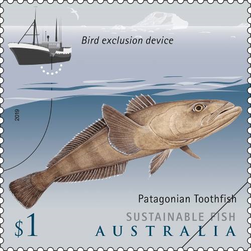 sustainable-fish-patagonian-toothfish
