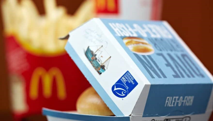 New Zealand Hoki story