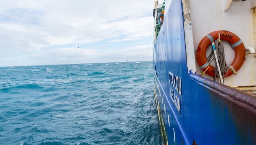 New Zealand Hoki story