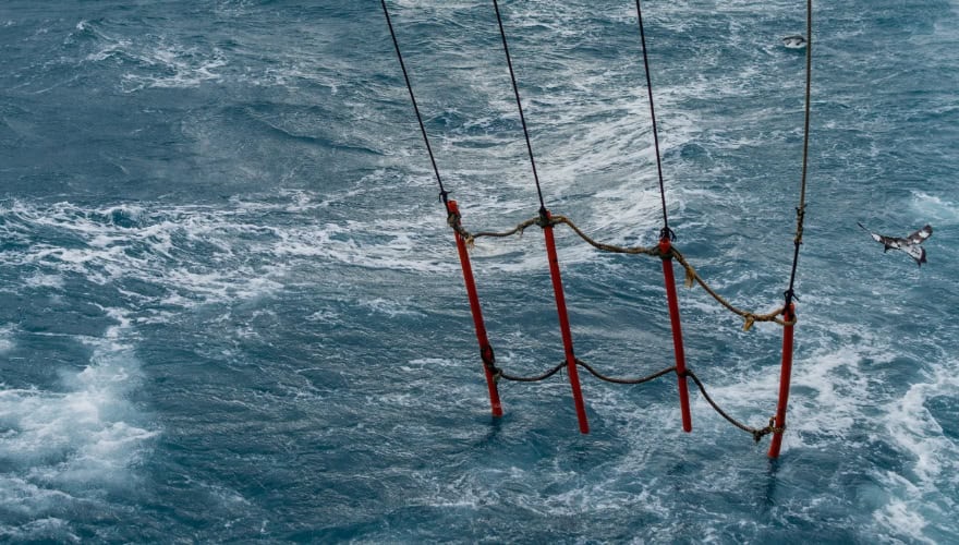 New Zealand Hoki story