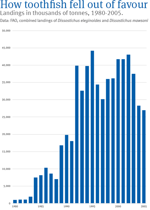Toothfish chart - 1980 - 2005 Toothfish chart - 1980 - 2005