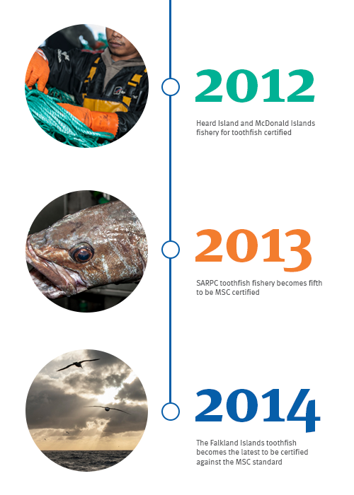 Patagonian Toothfish years Patagonian Toothfish years