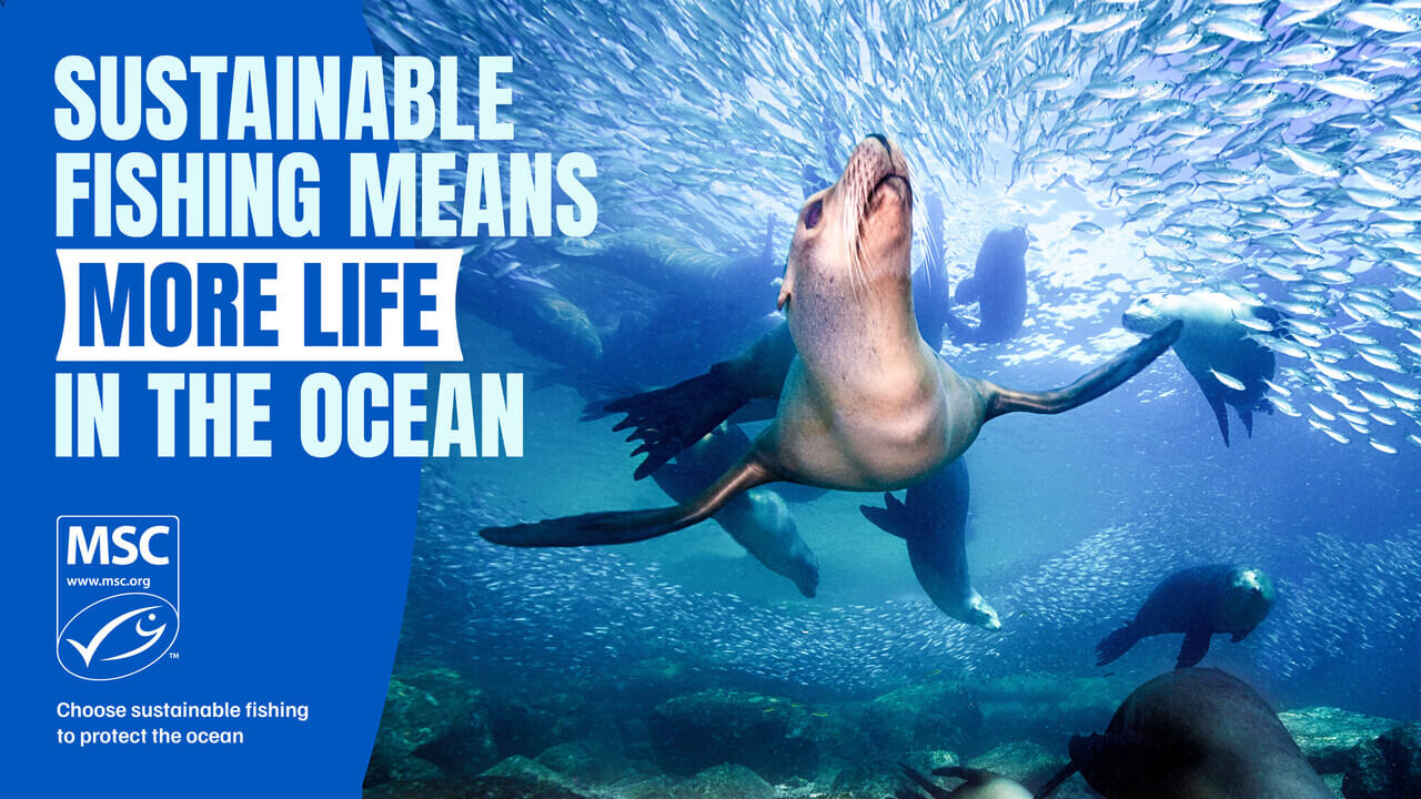 Sustainable fishing means more life in our ocean - MSC