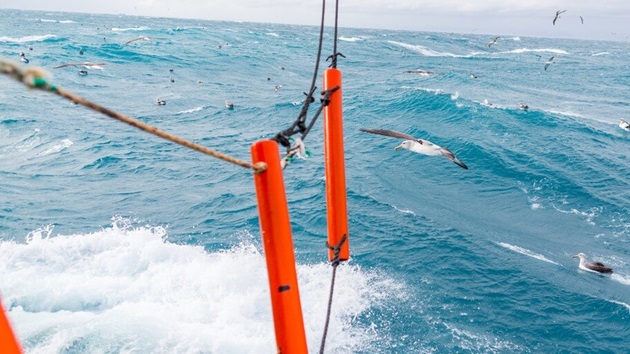 Bycatch reduction devices