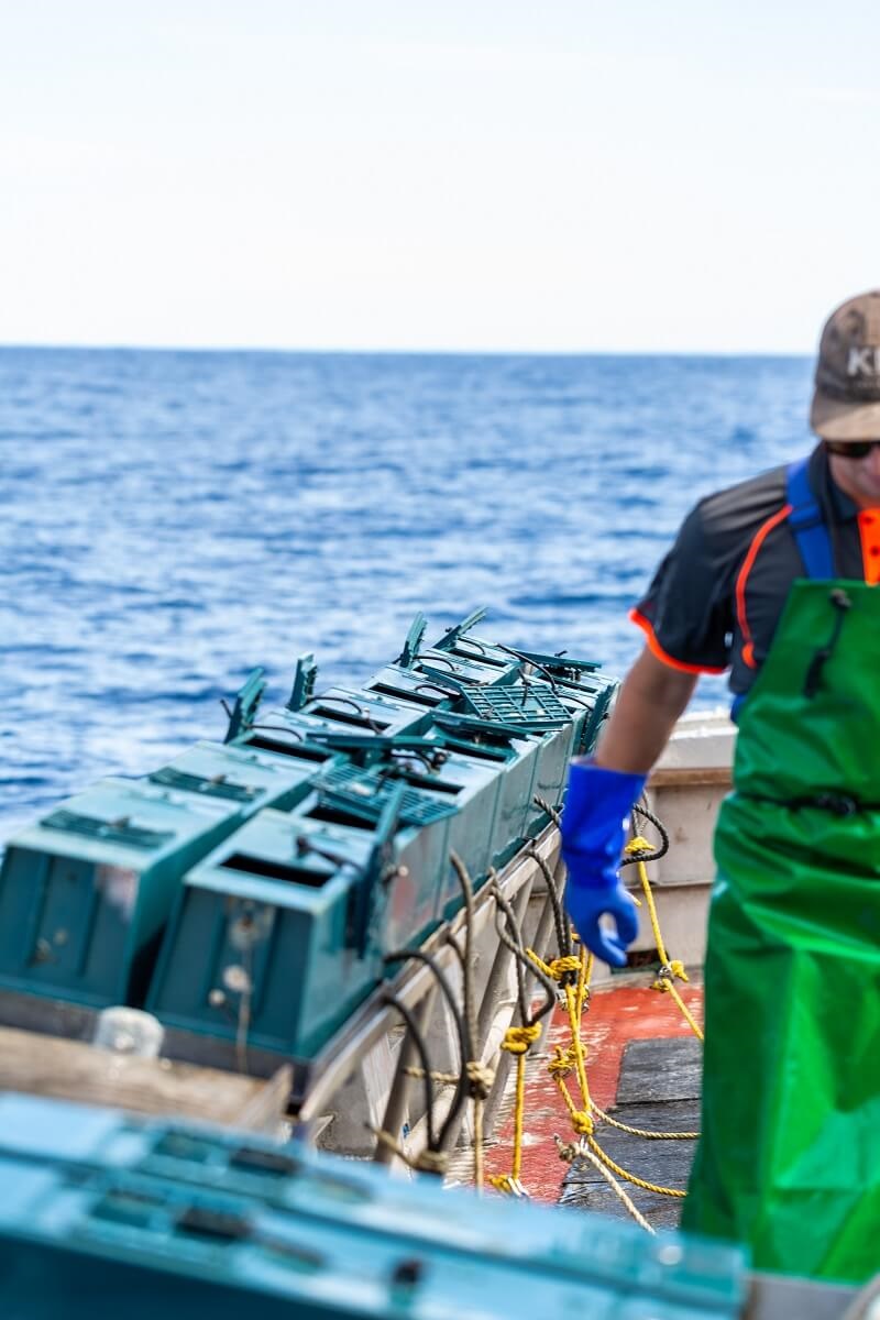 Trigger traps used to reduce bycatch