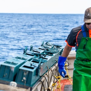 What is bycatch?