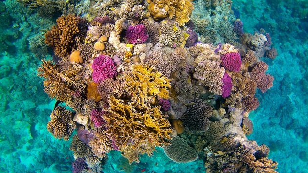 Preserving Biodiversity