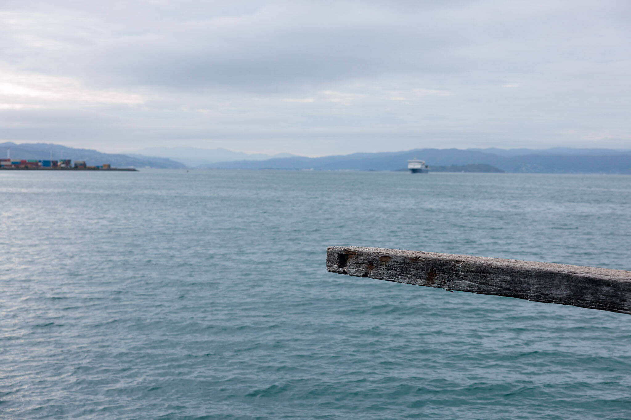 Takeouts from Wellington’s World Ocean Day launch
