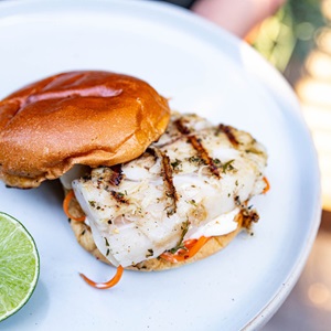 Cook a sustainable fish recipe