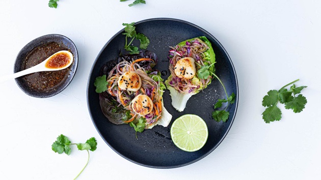 Are scallops sustainable?