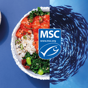 MSC Blue Label - What does it mean?