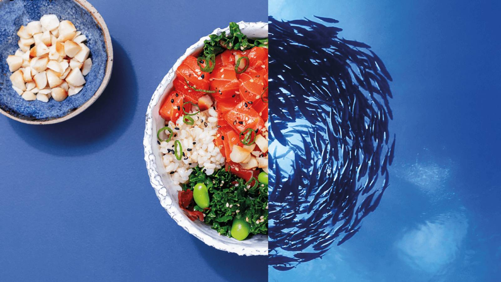 Should we stop fishing to save our ocean?