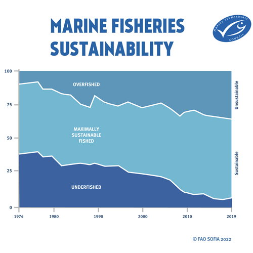 Thank you, Fishers! - Slides