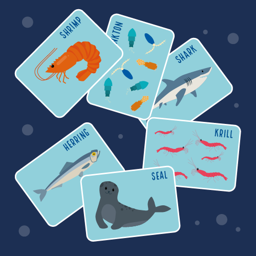 Food chain card game