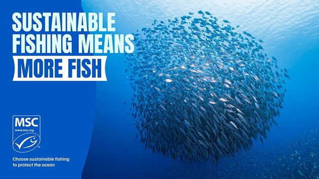 World Ocean Day 2026