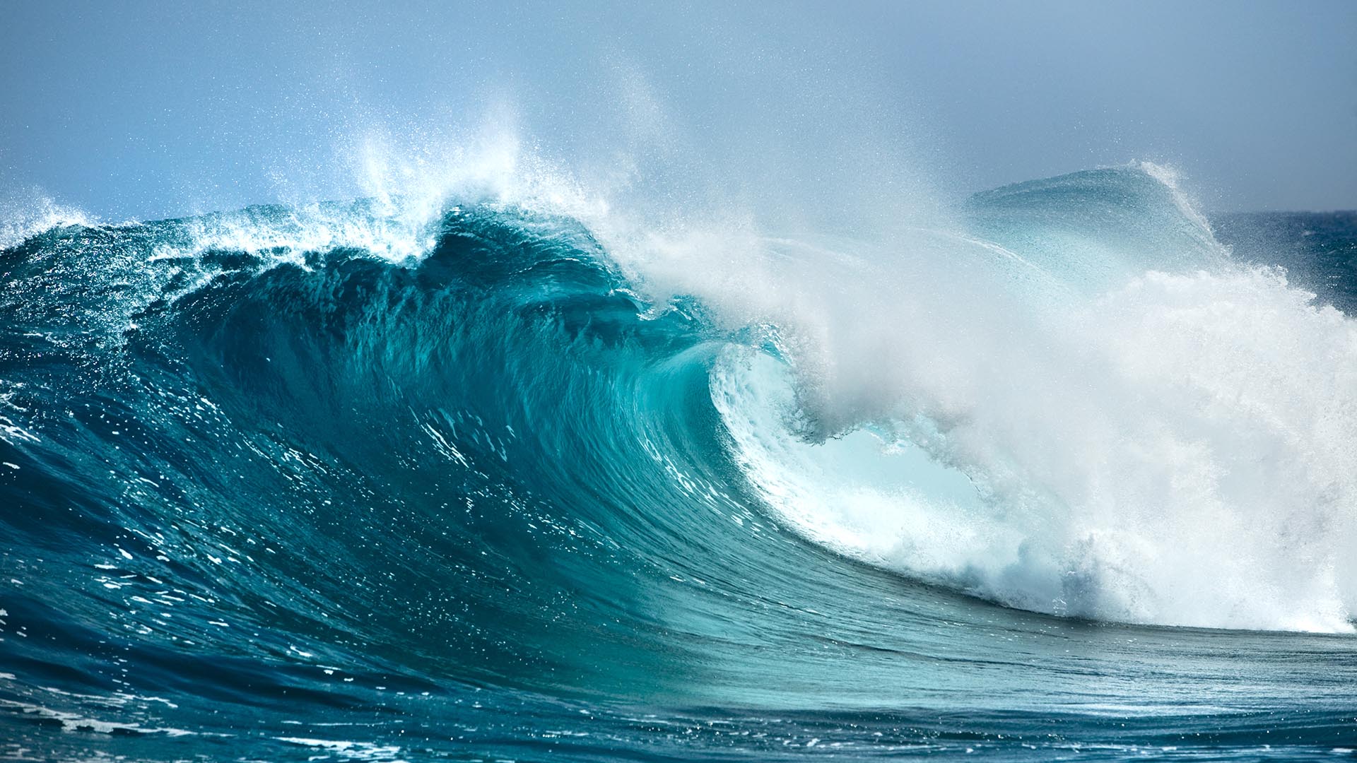 World Oceans Day 2025 Marine Stewardship Council