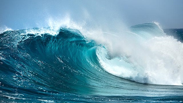 World Ocean Day