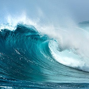 Importance of the Sea Ocean Connections Cards