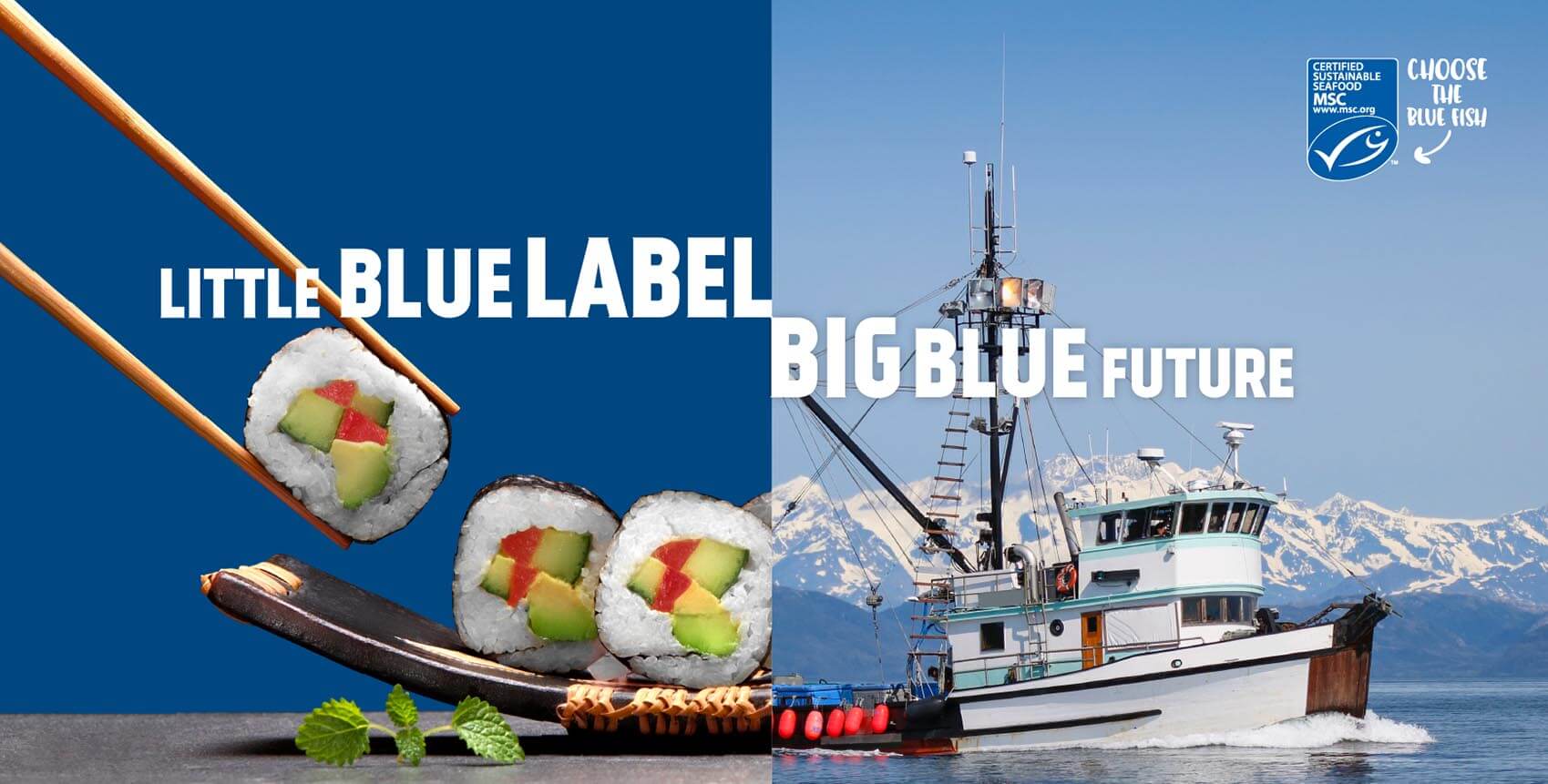 Little Blue Label Big Blue Future - Look for the MSC blue fish tick this World Oceans Day