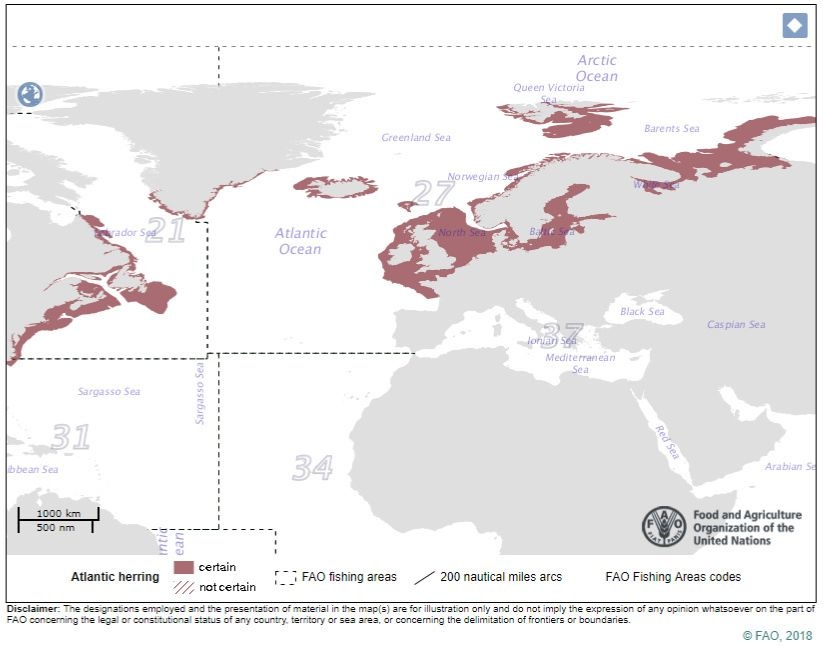Illustratie van vangstgebied Atlantische HARING