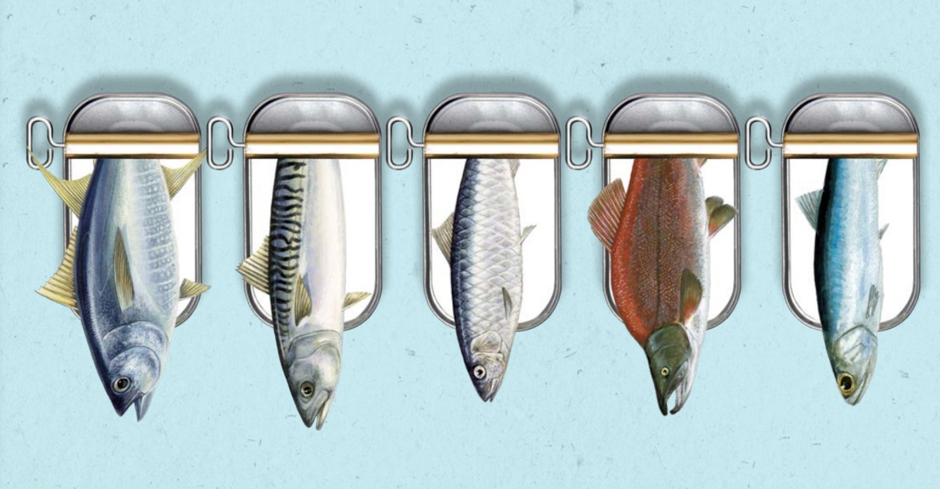 Comment bien choisir le poisson en conserve?