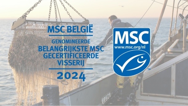 Genomineerden belangrijkste MSC-gecertificeerde visserij