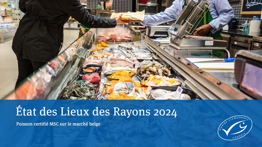 un employé tend un poisson emballé à un client au-dessus d'une vitrine contenant du poisson frais