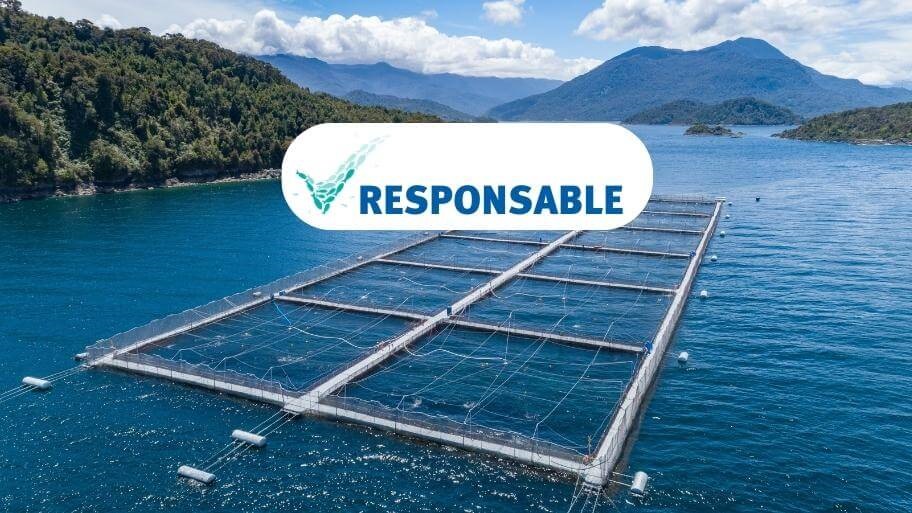 Responsable