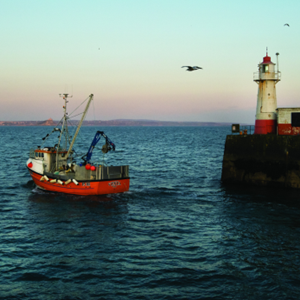Toon je betrokkenheid bij beoordelingen van visserijen