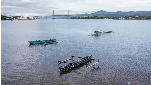 Blauwe Transformatie