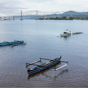 Un meilleur système alimentaire avec une pêche durable