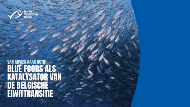 Blue Foods als Katalysator van de Belgische Eiwittransitie