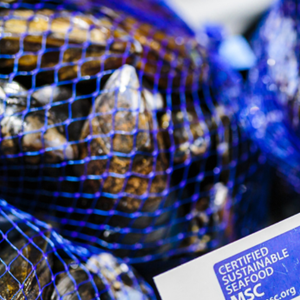 Chain of Custody Program updates 2023 (Anglais)