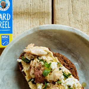 De beste makreel is geen makreel