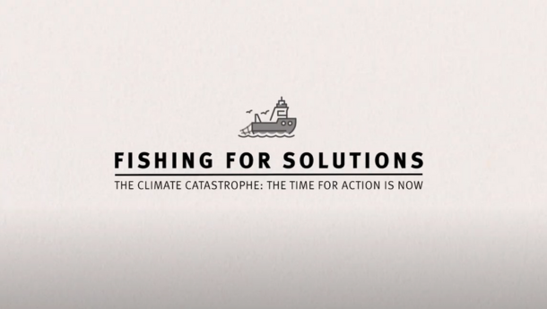 Vissen naar oplossingen