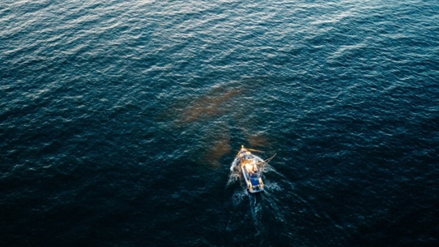 Notre nouveau "Référentiel Pêcheries" est publié