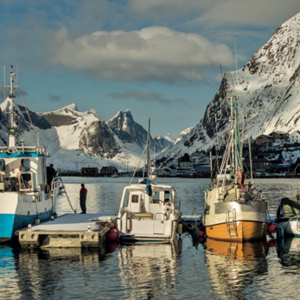 Onze voortgangsrapporten