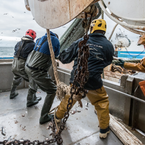 Haring: een duurzame ervaring