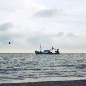 Visserij en klimaatverandering