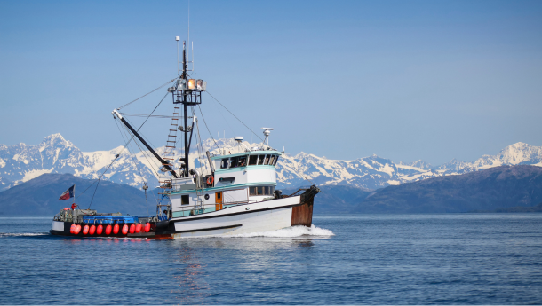 MSC-Standaarden Voor Duurzame Visserij