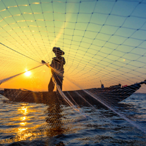 Ocean Stewardship Fund