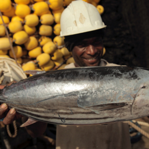 Tonijn: kleine eilanden, grote kansen