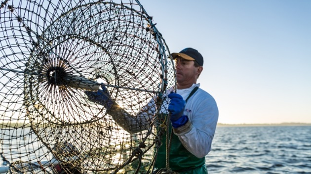 Qu’est-ce que la pêche durable?