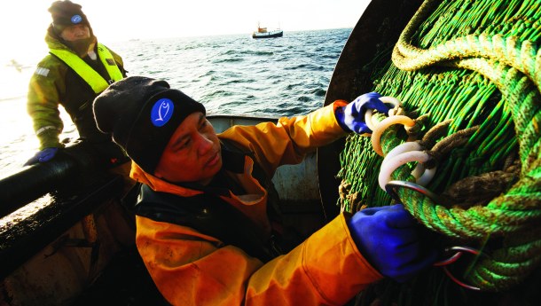 Les pêcheries s'améliorent