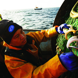 Les pêcheries s'améliorent