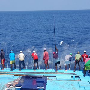 Verhalen van MSC gecertificeerde tonijnvisserijen