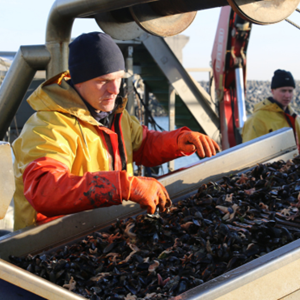 Des pêcheries durables