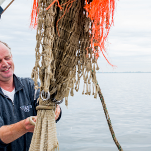 Vissen op Noordzeegarnalen: een grenzeloze samenwerking