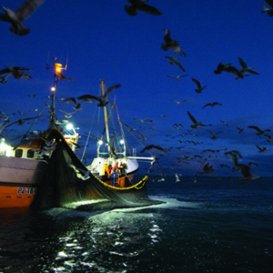 Qu’est-ce que la pêche durable?